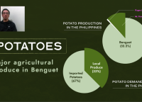 Engr. Bugtong shares the distribution of potato production and demand in the Philippines.