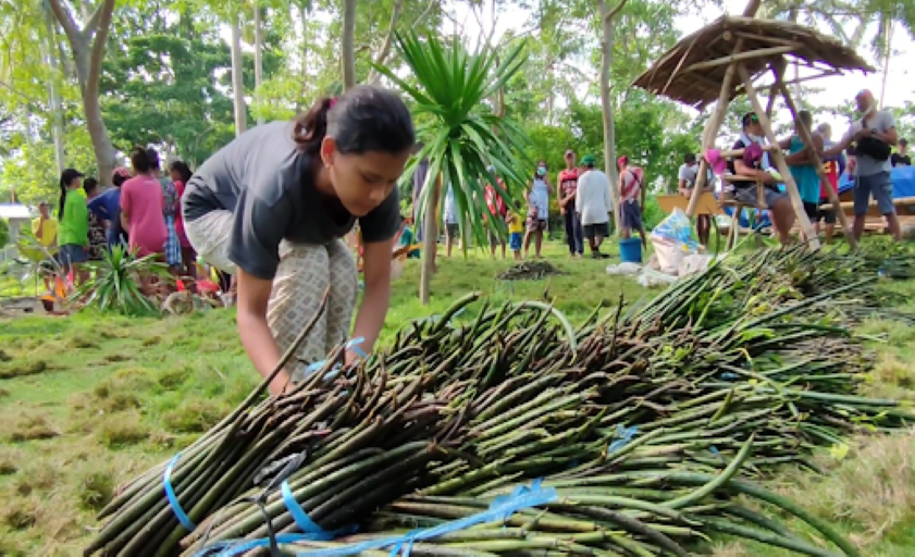 Community volunteers